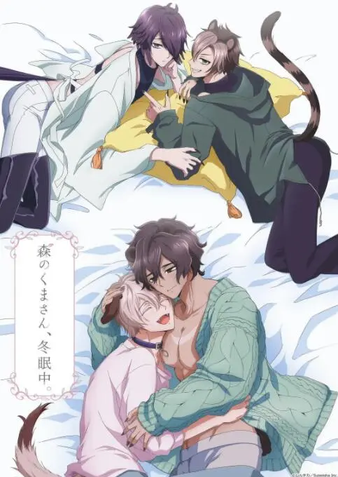 《森林里的熊先生冬眠中》影评：反差萌！黑帮大佬的治愈系日常